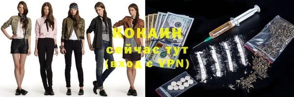 винт Няндома