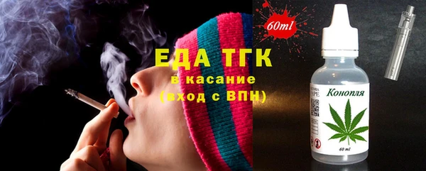 индика Сясьстрой