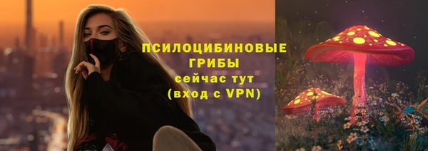 винт Няндома