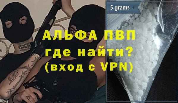 шишки Тайга