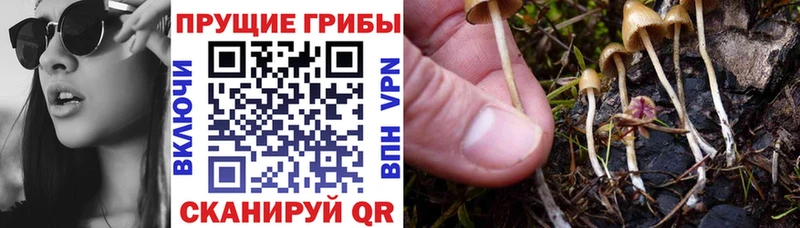 мега ТОР  Краснослободск  Псилоцибиновые грибы GOLDEN TEACHER 